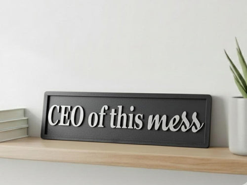 CEO of This Mess 3D Wooden Sign: Funny Home Office Decor