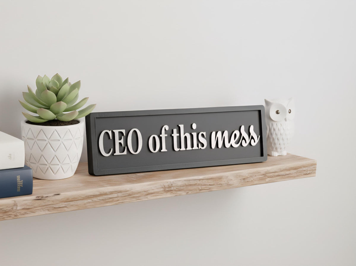 CEO of This Mess 3D Wooden Sign: Funny Home Office Decor